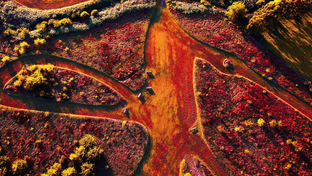Vibrant Autumn Landscape Above the Trails wallpaper