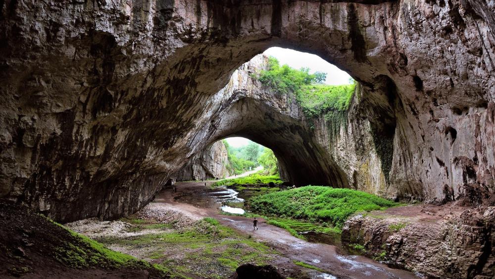Majestic Cave with Lush Greenery Surroundings wallpaper