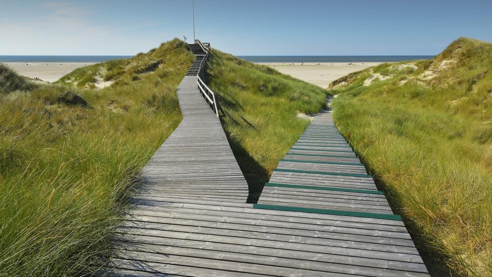 Serene Pathways Through Coastal Dunes wallpaper