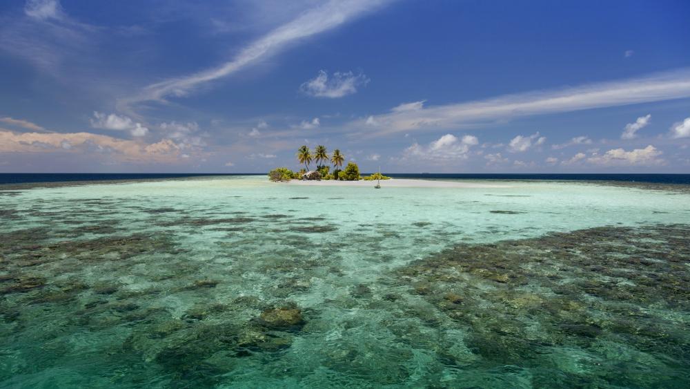 Wallpaper from nature category