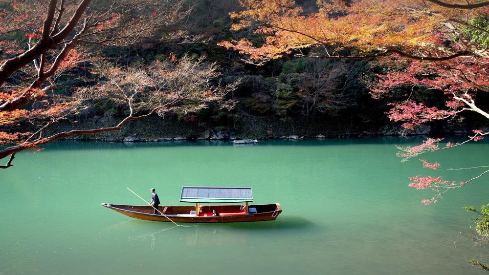 Serenity on the Tranquil Lake wallpaper