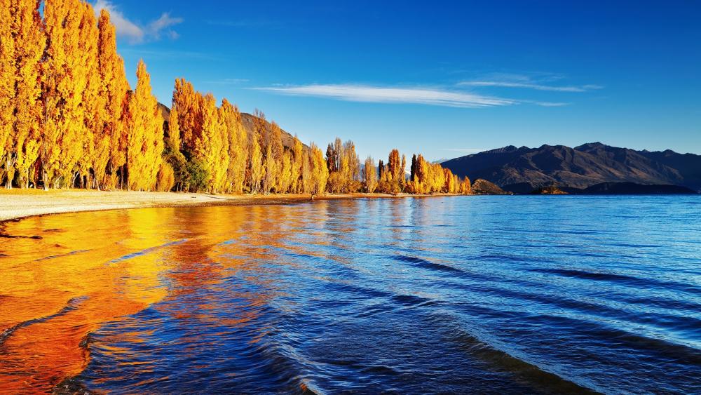 Golden Autumn Reflections by the Lake wallpaper