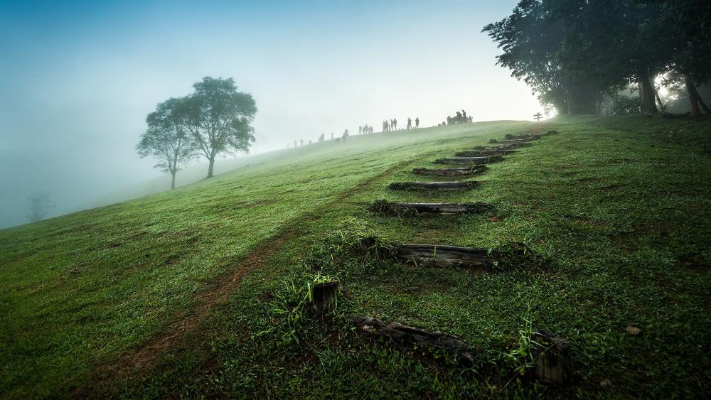Serene Morning on a Misty Hilltop wallpaper