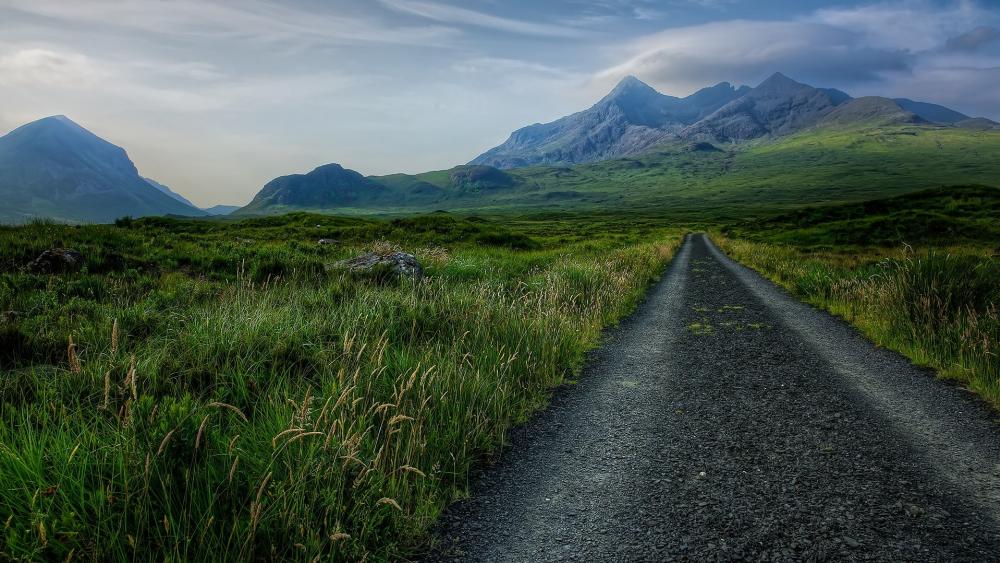 Serenity of the Mountain Trail wallpaper