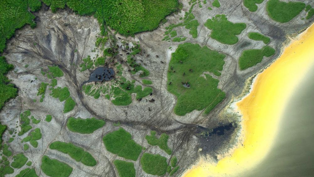 Serene Aerial View of Lush Green Landscape and Shoreline Formation wallpaper
