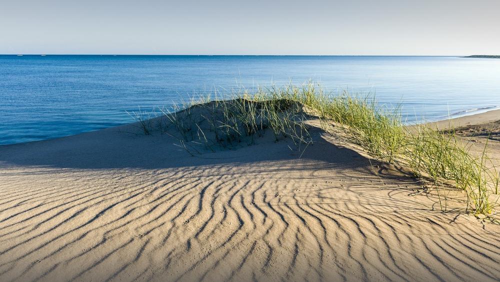 Serene Dunes by the Tranquil Sea wallpaper