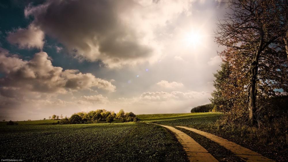 Serene Pathway Through a Lush Landscape wallpaper