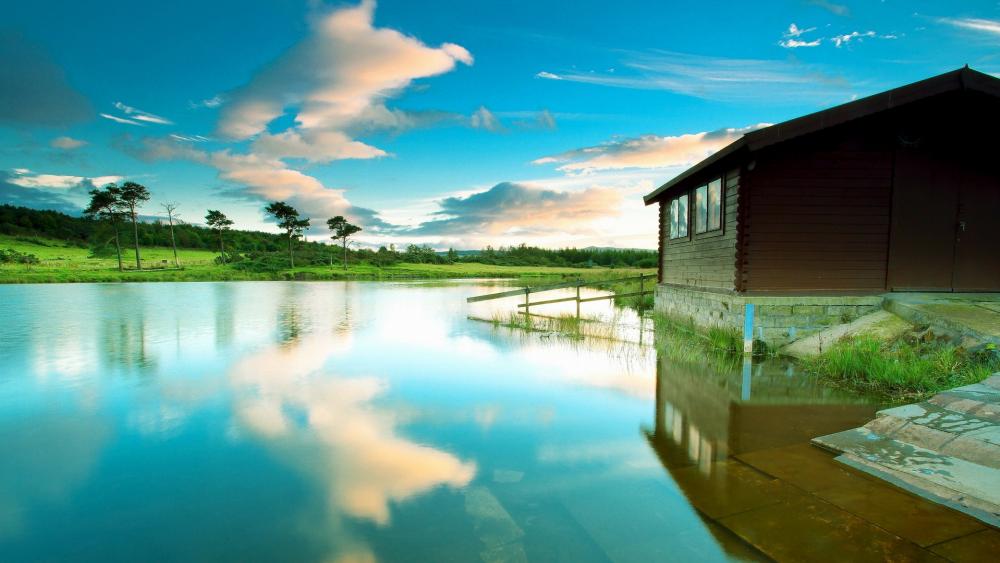Wallpaper from nature category