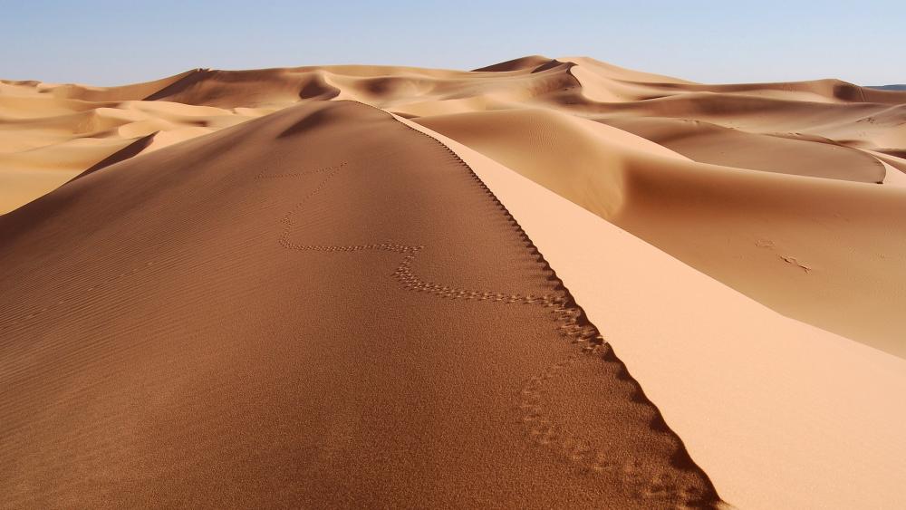 Majestic Desert Dunes Under Clear Skies wallpaper