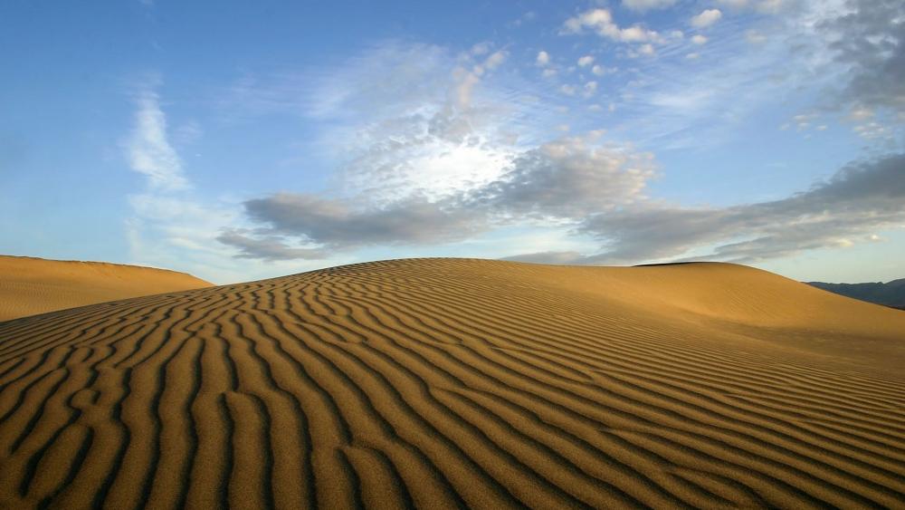 Desert Serenity with Gentle Dunes and Blue Sky wallpaper