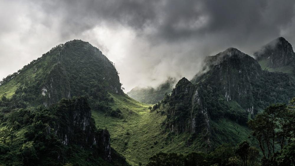 Wallpaper from nature category