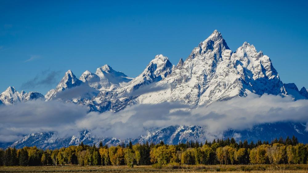 Wallpaper from nature category