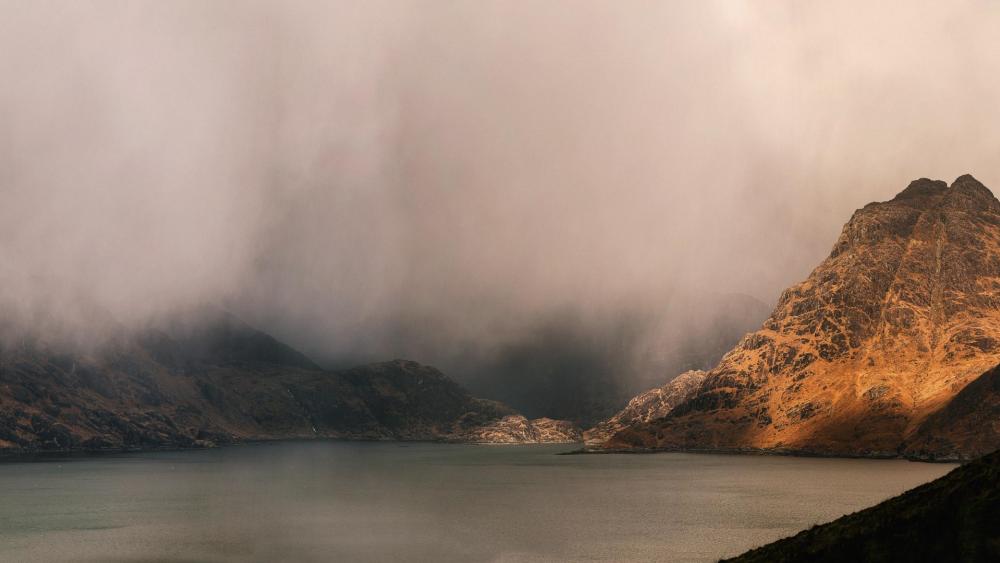 Wallpaper from nature category