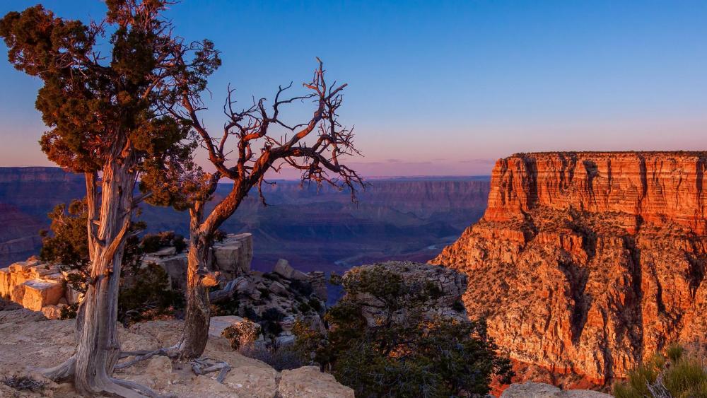 Majestic Sunset Over Grand Canyon Peaks wallpaper