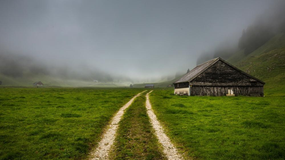 Misty Pathway Through Serene Fields wallpaper