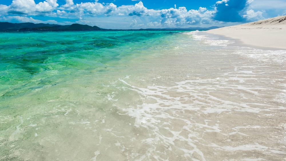 Serene Ocean Waves Caressing Golden Sands wallpaper