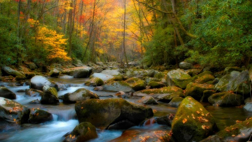 Autumn Serenity in Nature's Embrace wallpaper