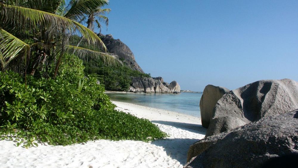 Tranquil Tropical Beach Scene in Paradise wallpaper