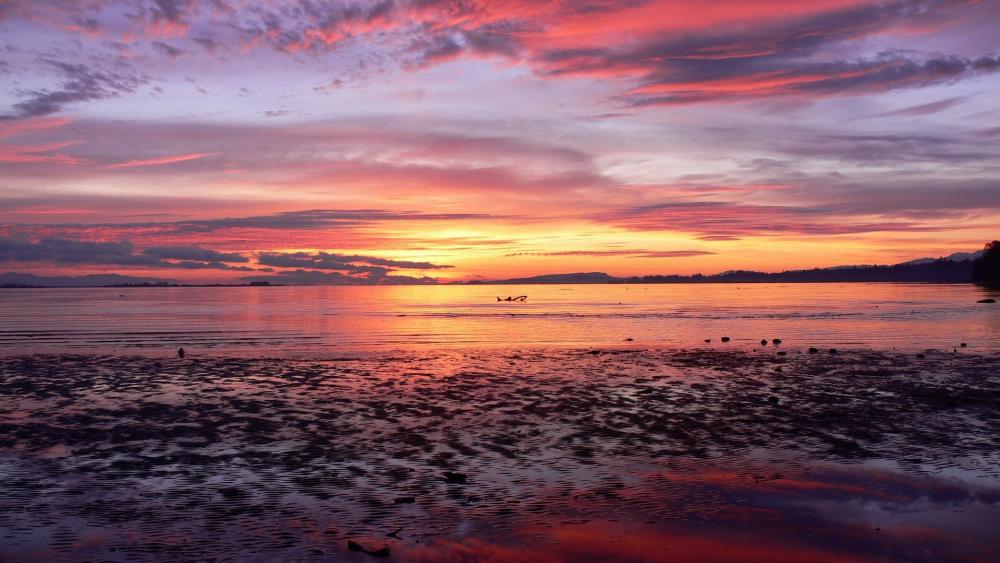 Serene Sunset Over Calm Waters wallpaper