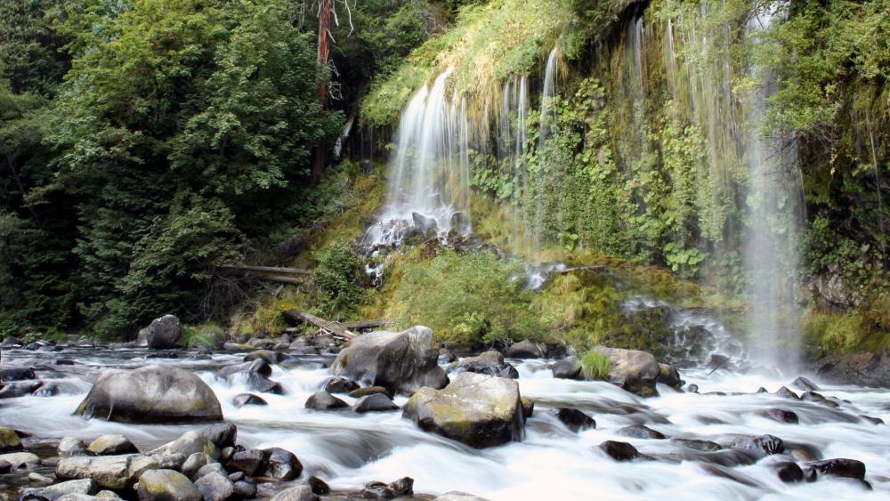 Wallpaper from nature category