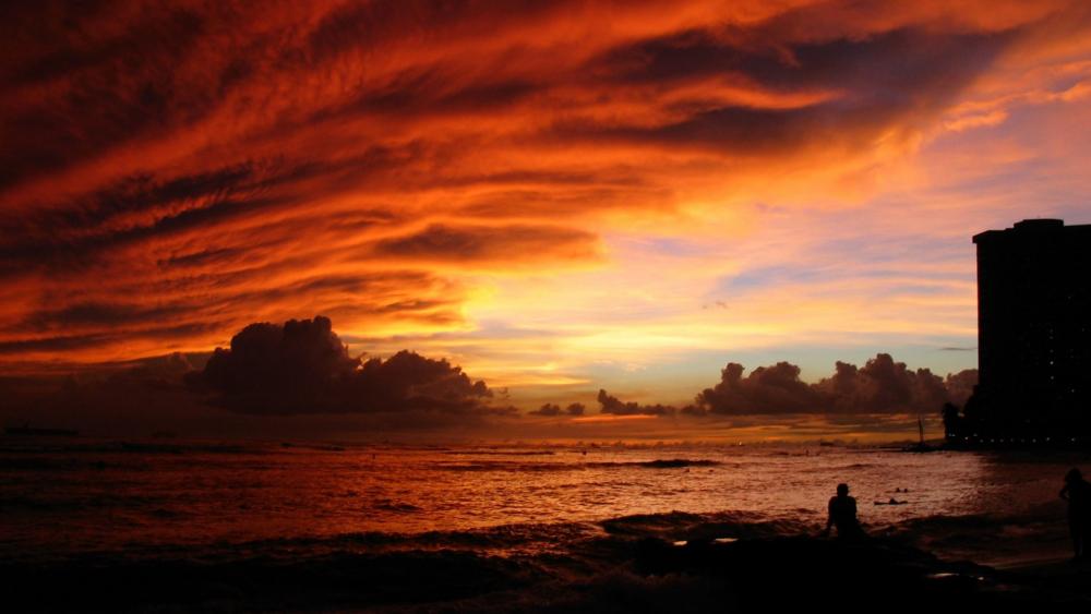 Wallpaper from nature category