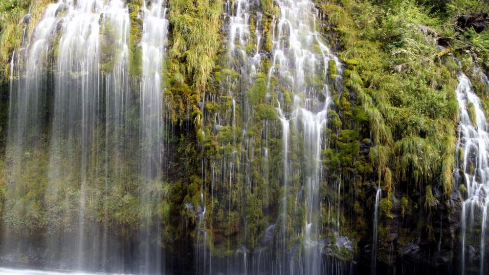 Serene Waterfall and Lush Greenery Landscape wallpaper