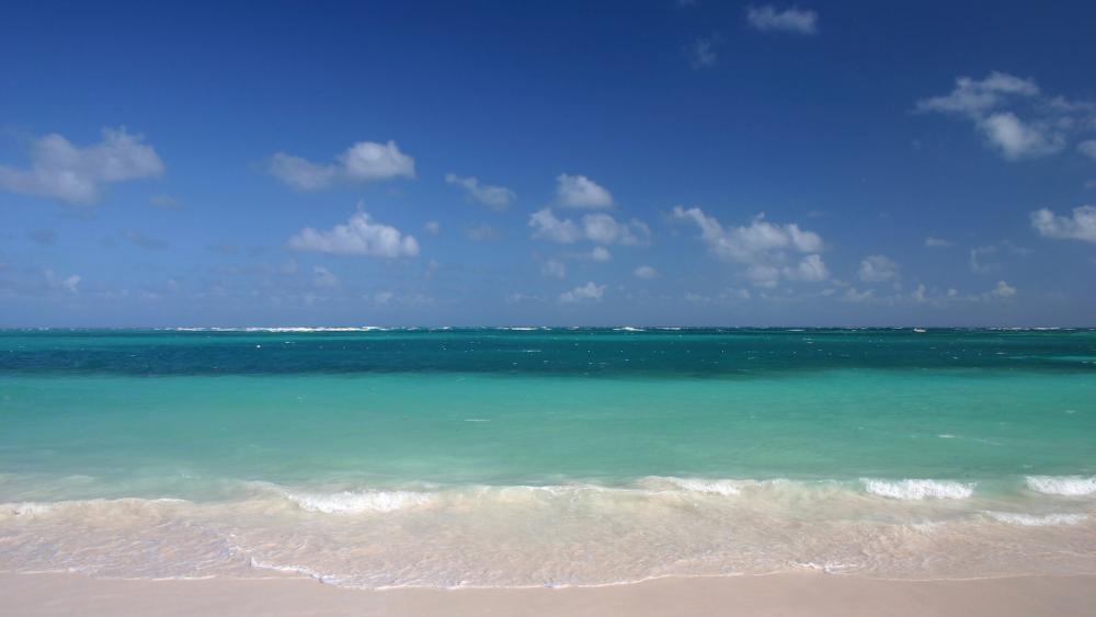 Tranquil Ocean Breeze and Serenity wallpaper