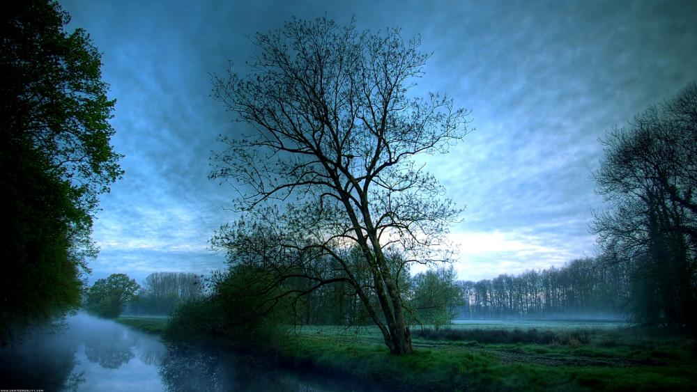 Serene Misty Morning Landscape wallpaper