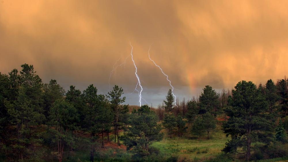 Dramatic Lightning Over Serene Forest Landscape wallpaper