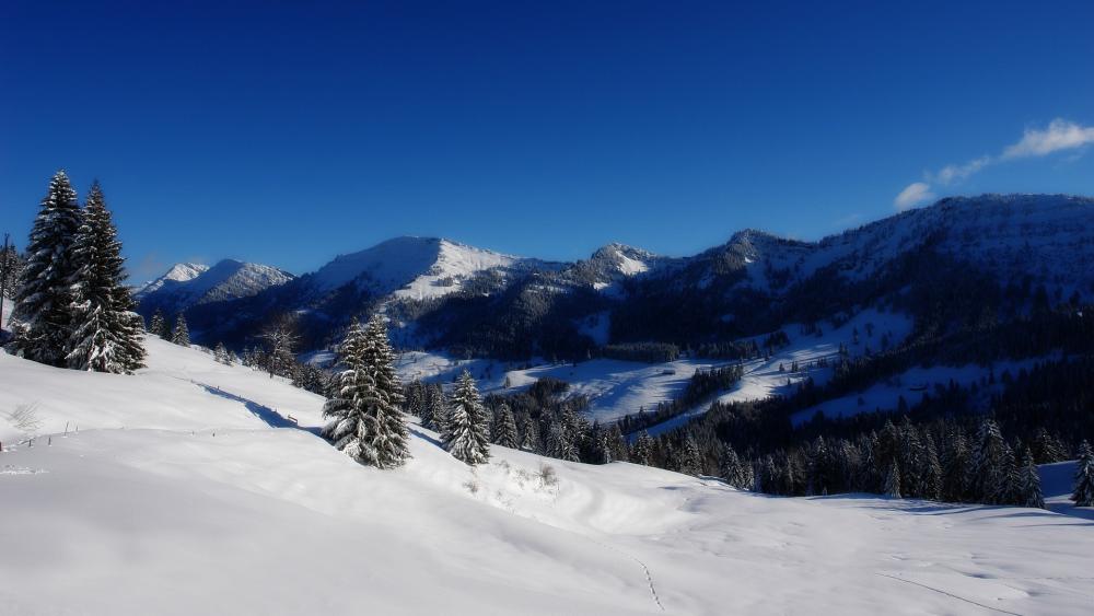 Winter Wonderland in Majestic Mountains wallpaper