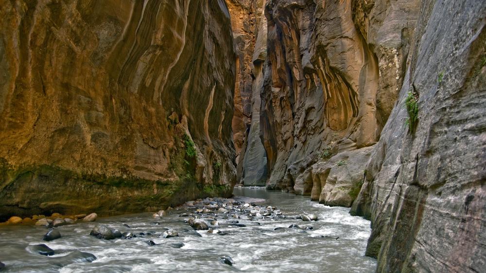 Majestic River Canyon Views wallpaper