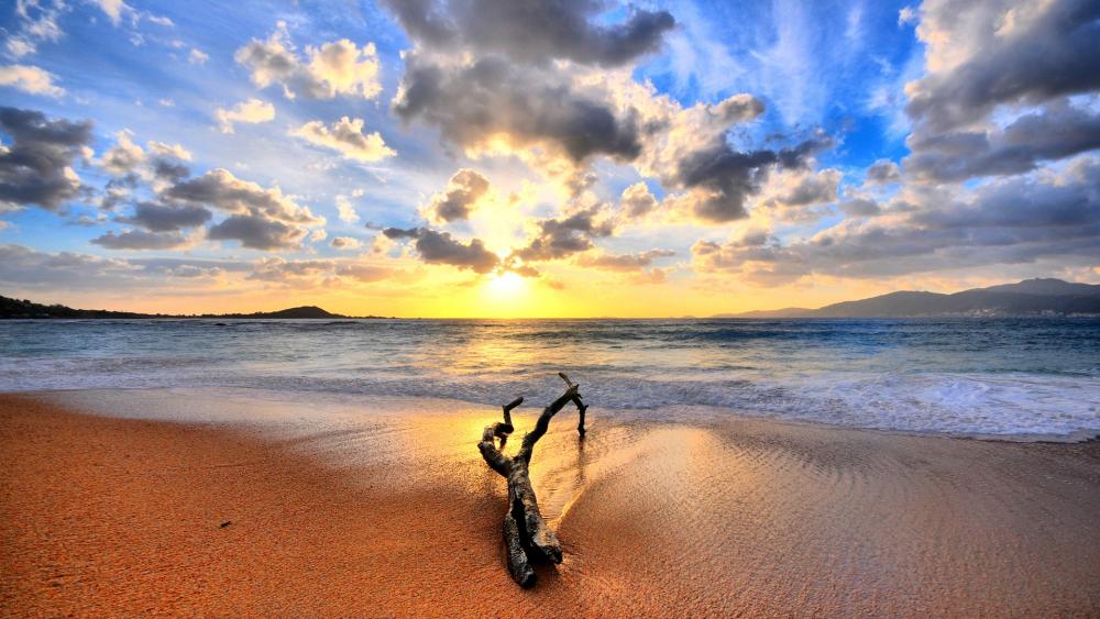 Serene Sunset Over Tranquil Beach wallpaper