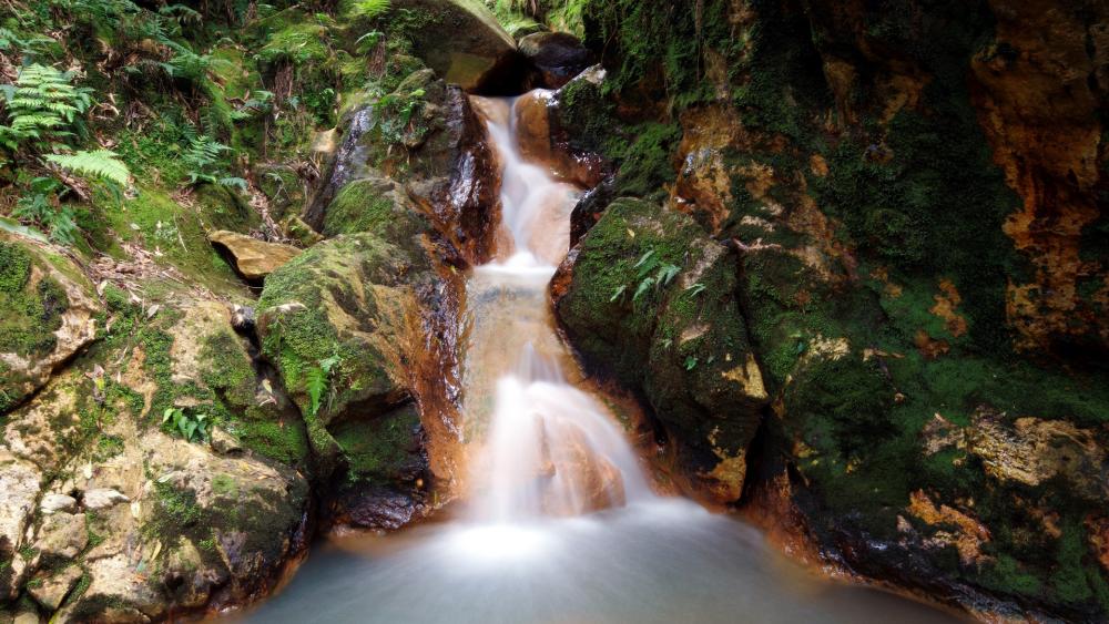 Serene Waterfall in Lush Wilderness wallpaper