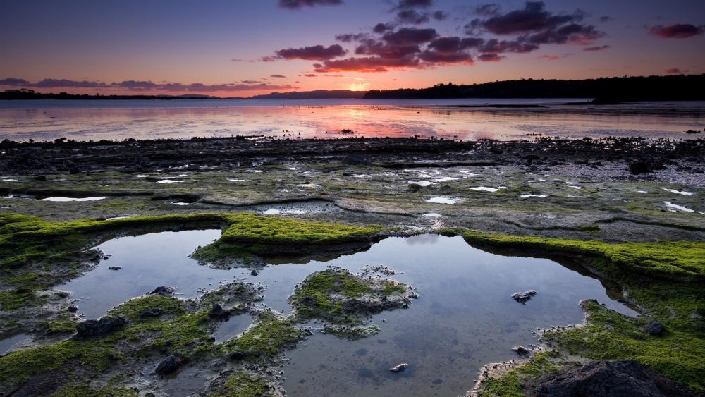 Tranquil Sunset Over Serene Wetlands wallpaper