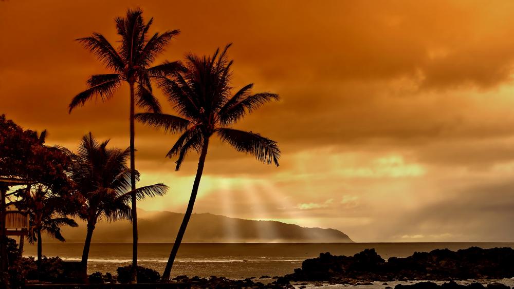 Tropical Sunset Serenity wallpaper