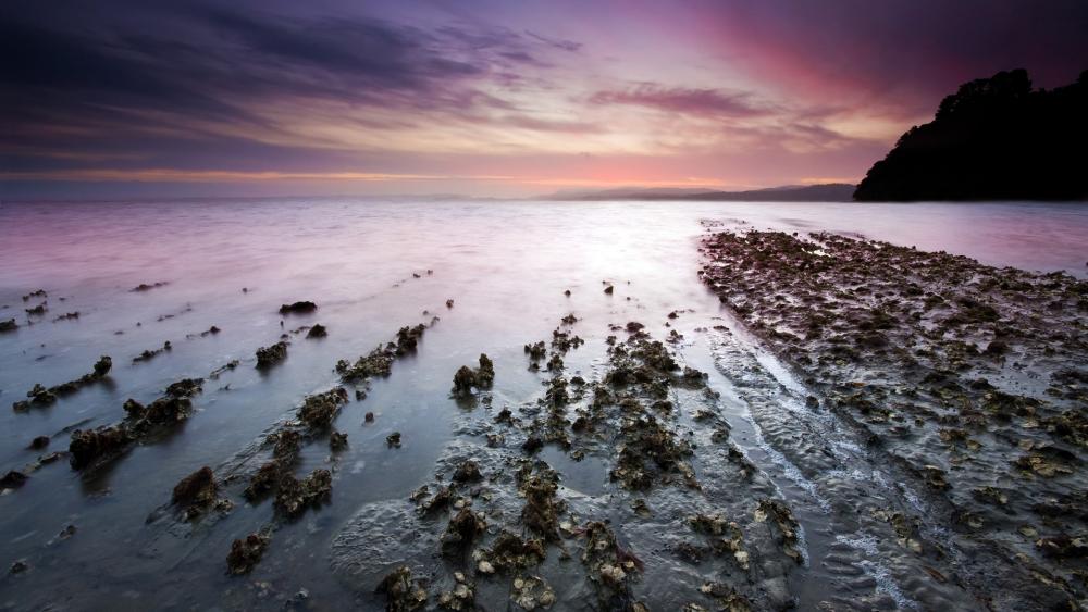 Tranquil Coastal Serenity at Dusk wallpaper