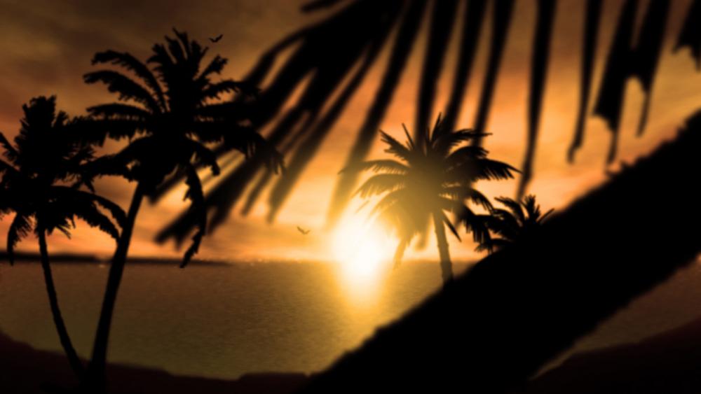 Tropical Sunset Serenity in Silhouettes wallpaper