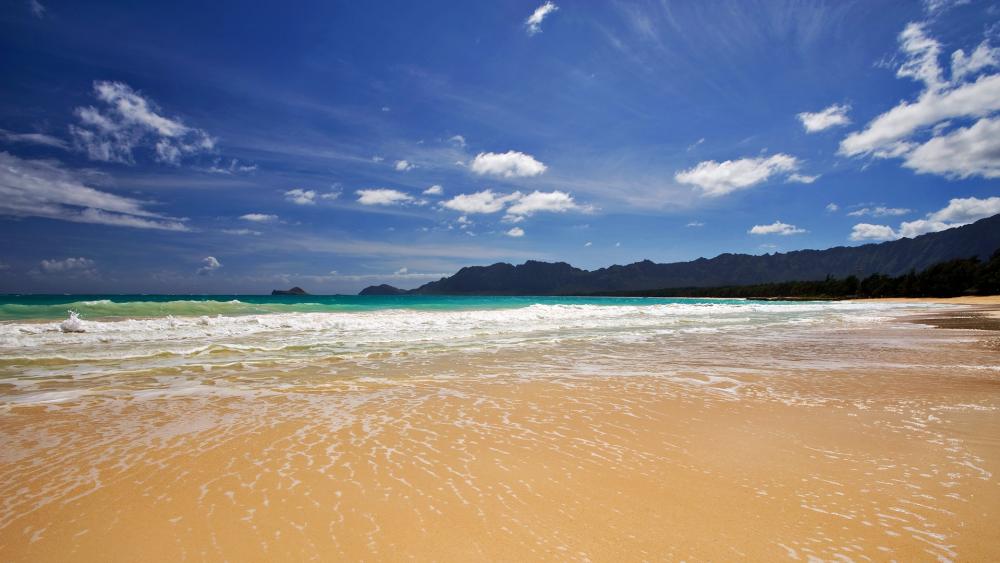 Tranquil Beach Serenity Under Clear Blue Skies wallpaper