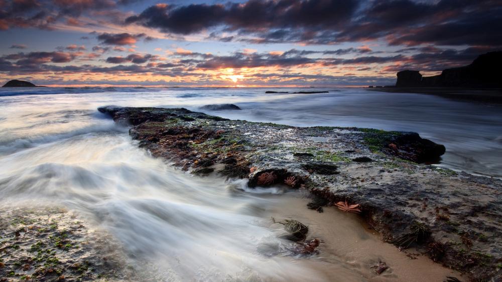 Ocean Serenity at Sunset wallpaper