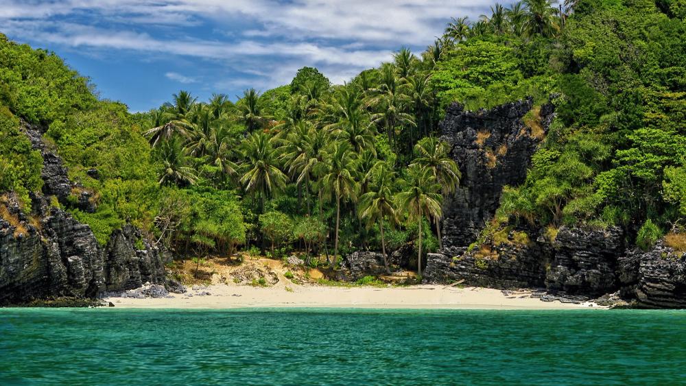 Serene Tropical Paradise Awaits You wallpaper