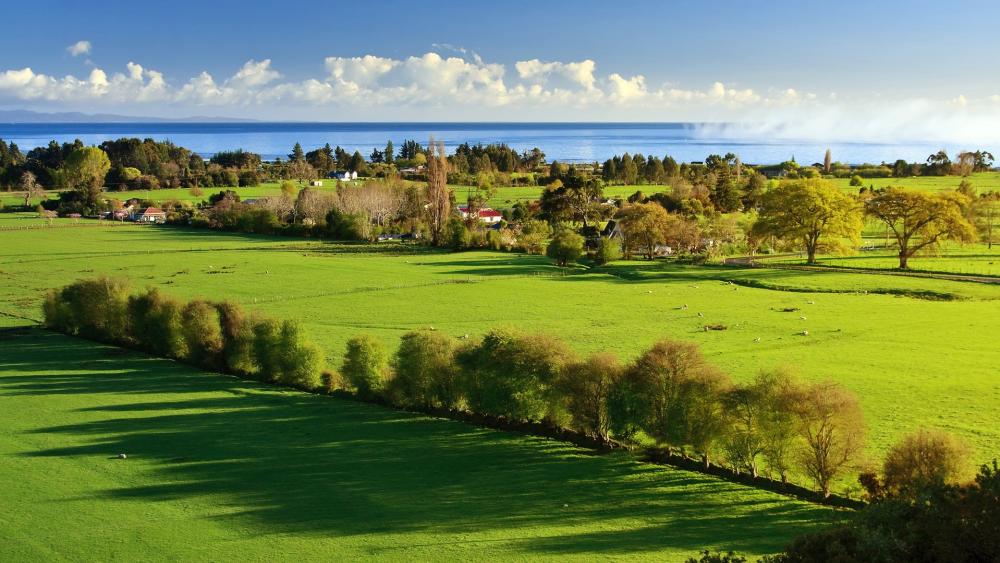 Wallpaper from nature category