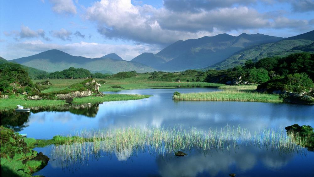 Serene Lake Reflections in Nature's Embrace wallpaper
