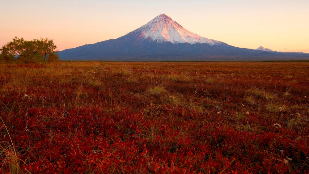 Majestic Mountain at Dawn with Vibrant Landscapes wallpaper