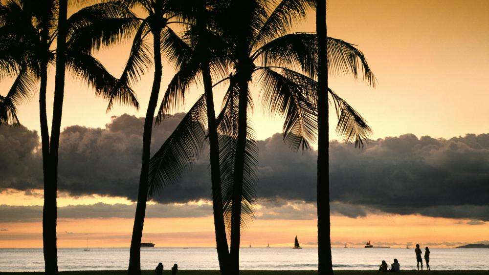 Tropical Sunset Serenity Over Calm Waters wallpaper