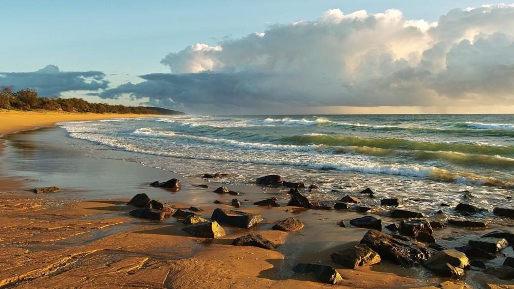 Serene Beach at Dusk wallpaper
