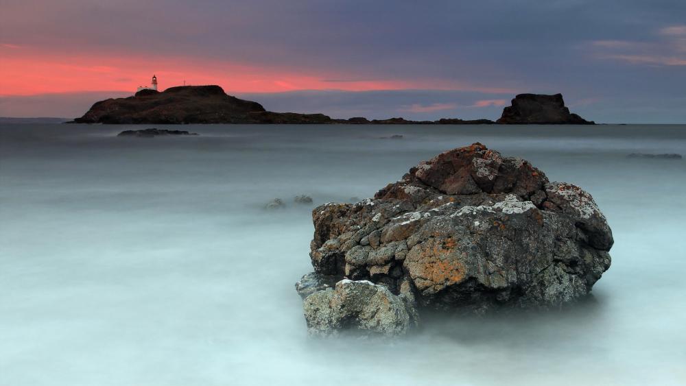 Wallpaper from nature category