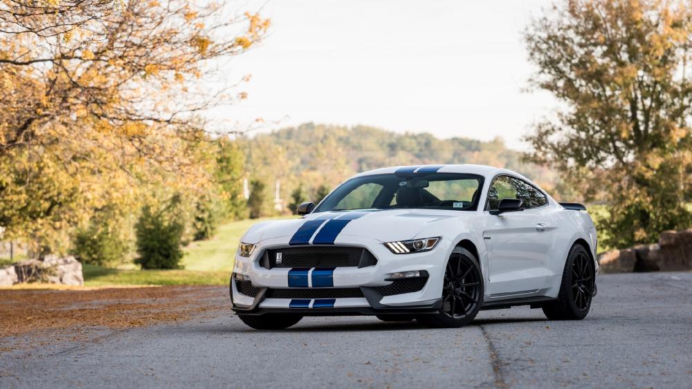 Wallpaper from car category