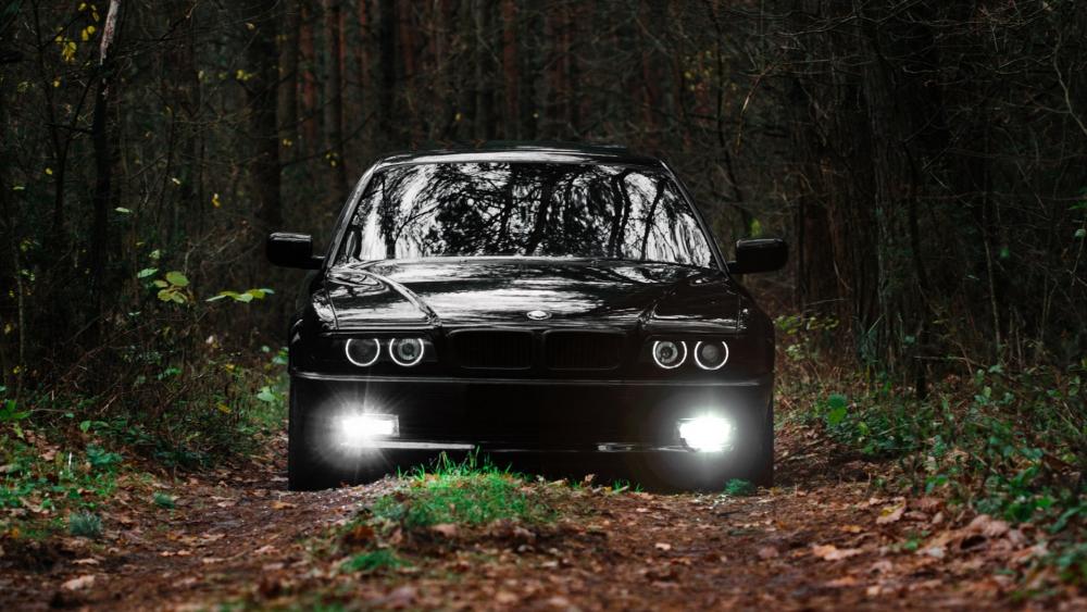 Striking Black Car in Lush Green Forest Scene wallpaper
