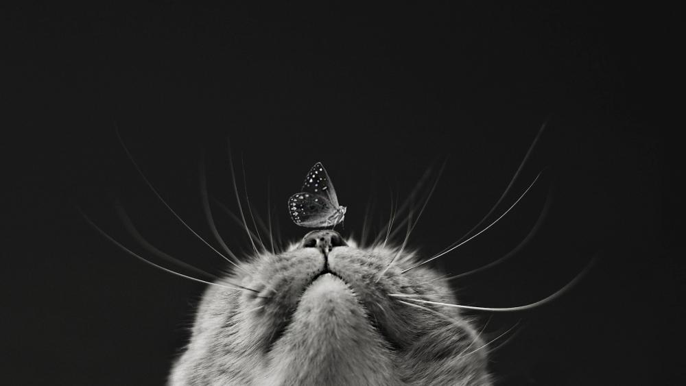 Whiskers and Wings Dance Together in Harmony wallpaper