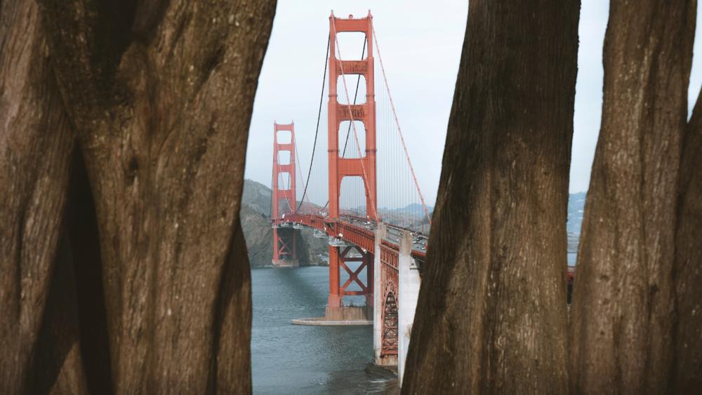 Golden Gate Bridge, San Francisco wallpaper